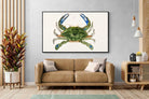 Pixalot ® Blue Crab Illustration