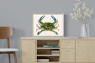 Pixalot ® Blue Crab Illustration