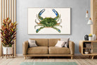 Pixalot ® Blue Crab Illustration
