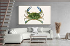 Pixalot ® Blue Crab Illustration
