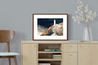 Pixalot ® Coastal Lighthouse at Night