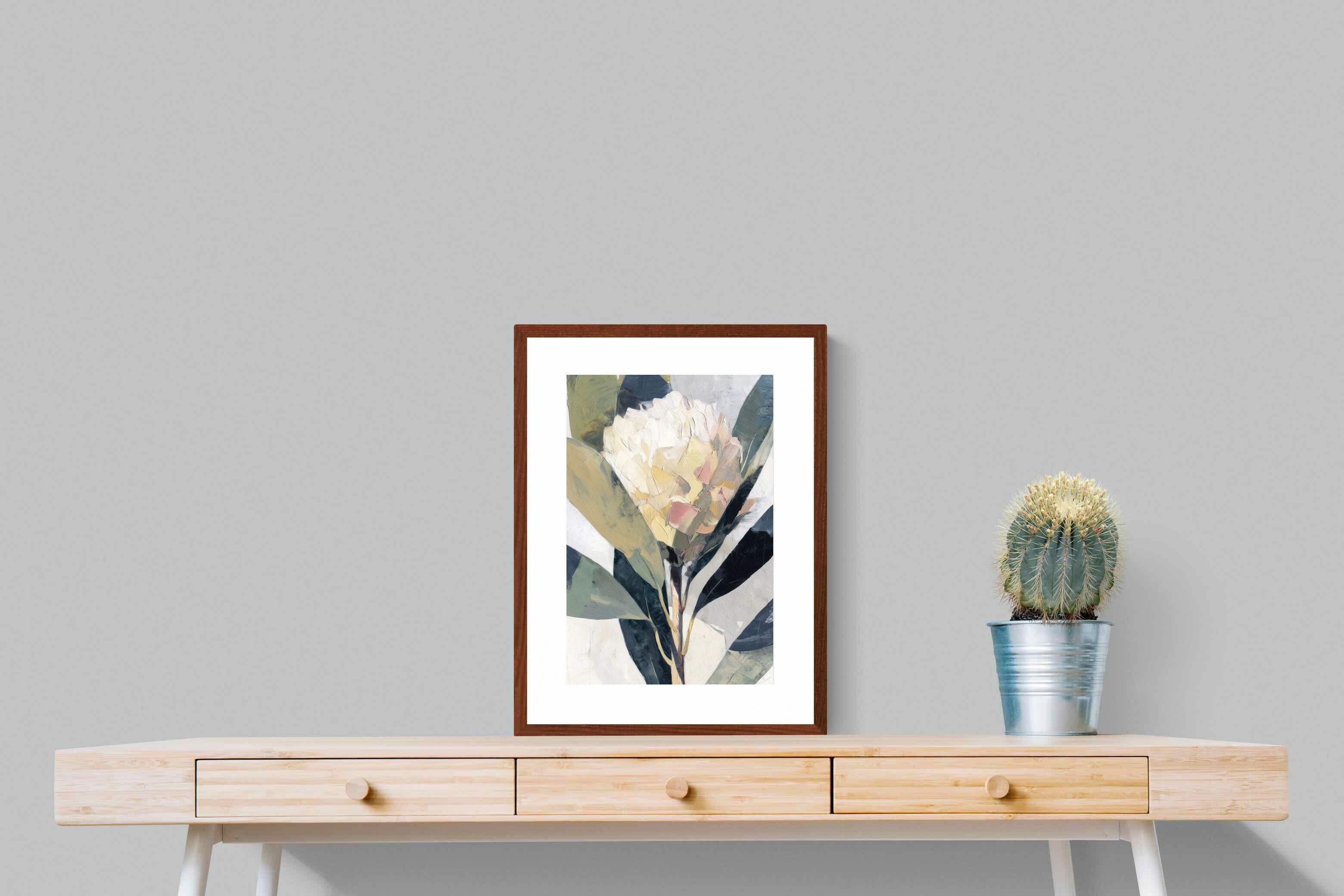 Pixalot ® Cream Protea