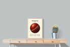 Pixalot ® Cricket Ball