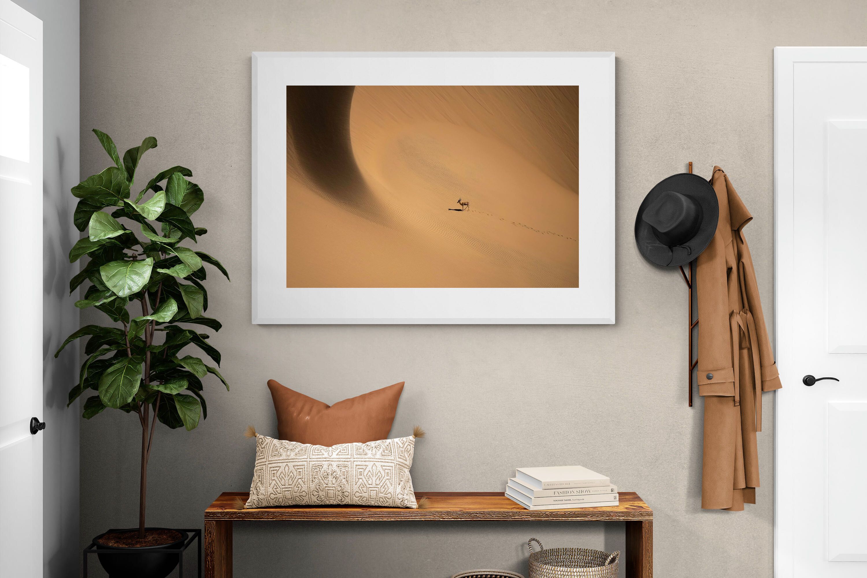 Pixalot ® Desert Trail