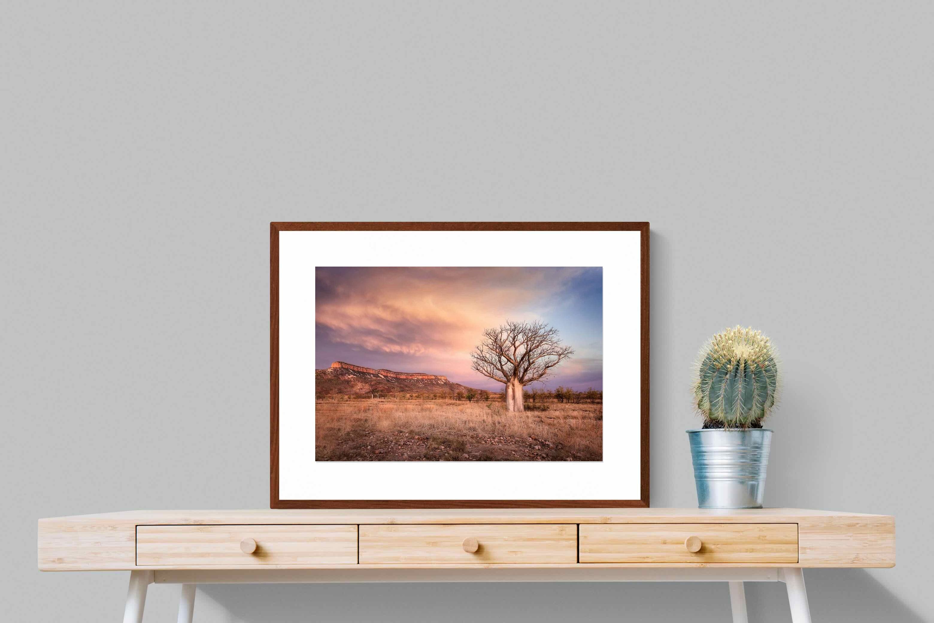 Pixalot ® Dusky Baobab