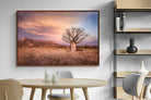 Pixalot ® Dusky Baobab