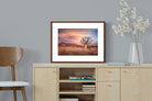 Pixalot ® Dusky Baobab