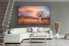 Pixalot ® Dusky Baobab