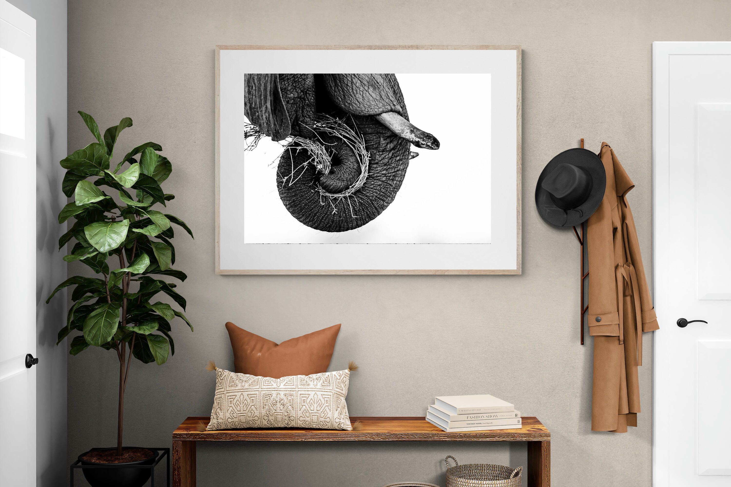 Pixalot ® Elephant Coil