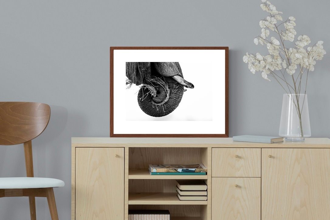 Pixalot ® Elephant Coil