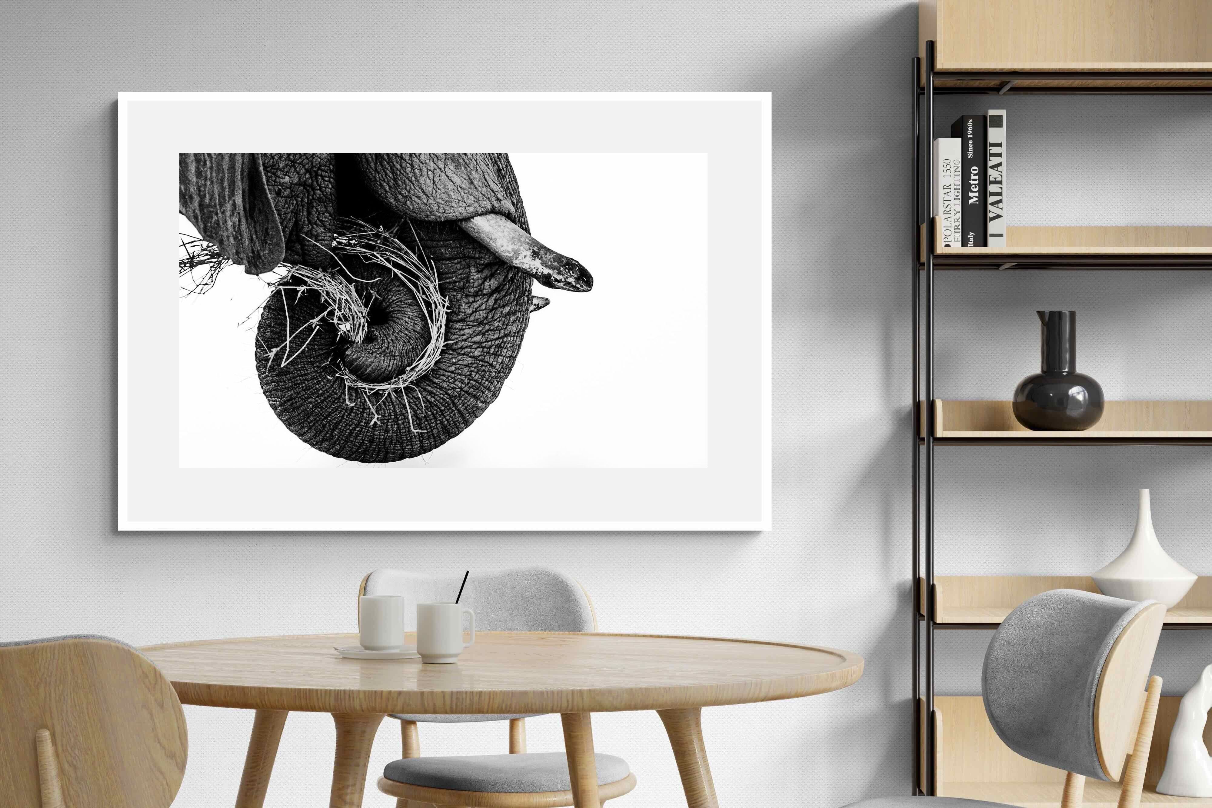 Pixalot ® Elephant Coil