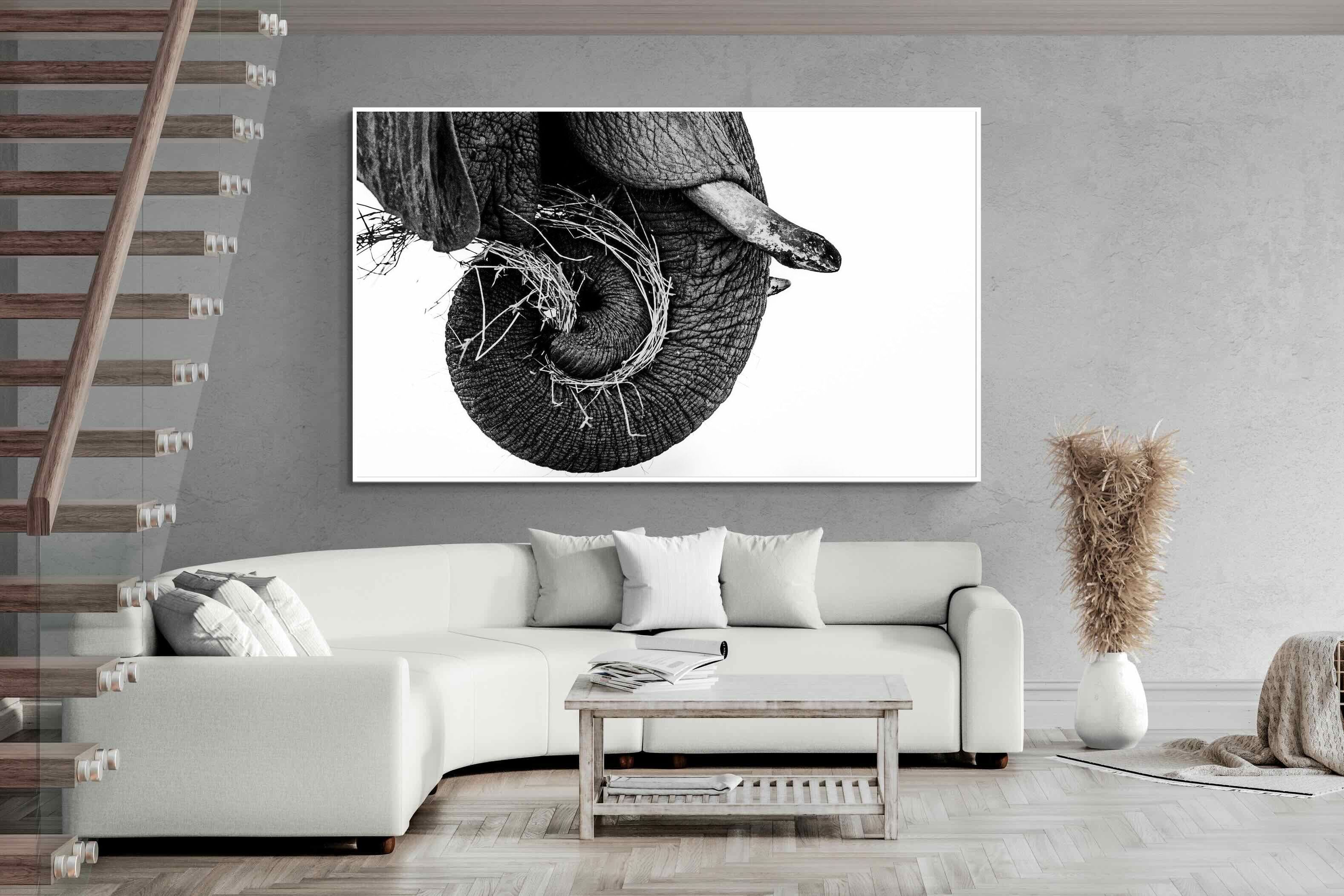 Pixalot ® Elephant Coil