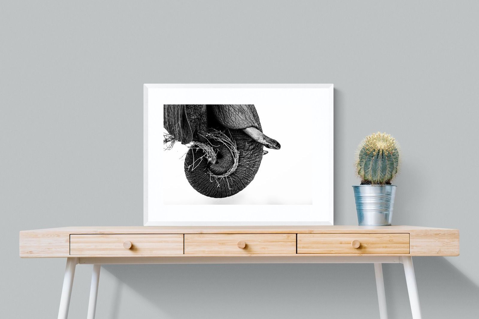 Pixalot ® Elephant Coil