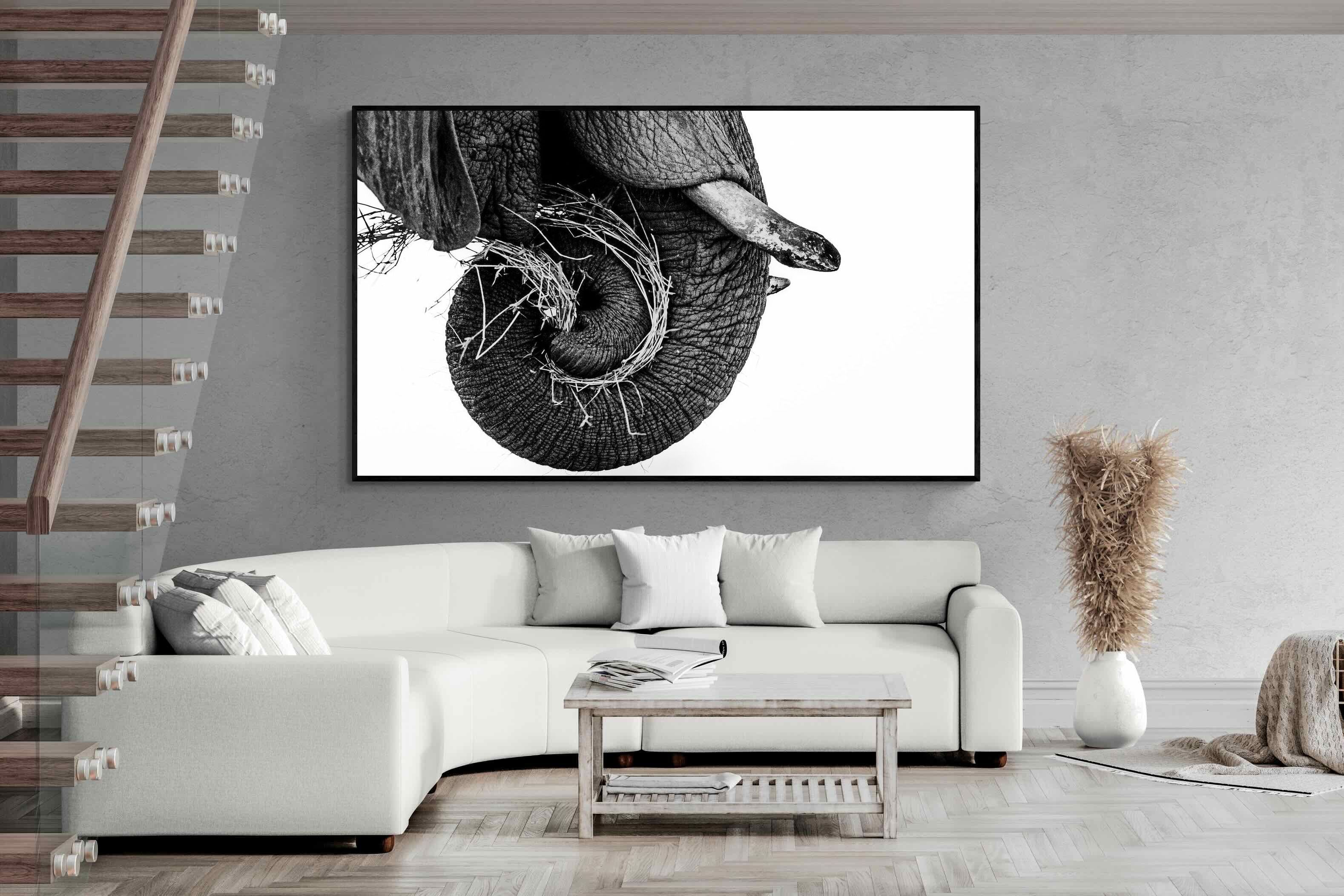Pixalot ® Elephant Coil