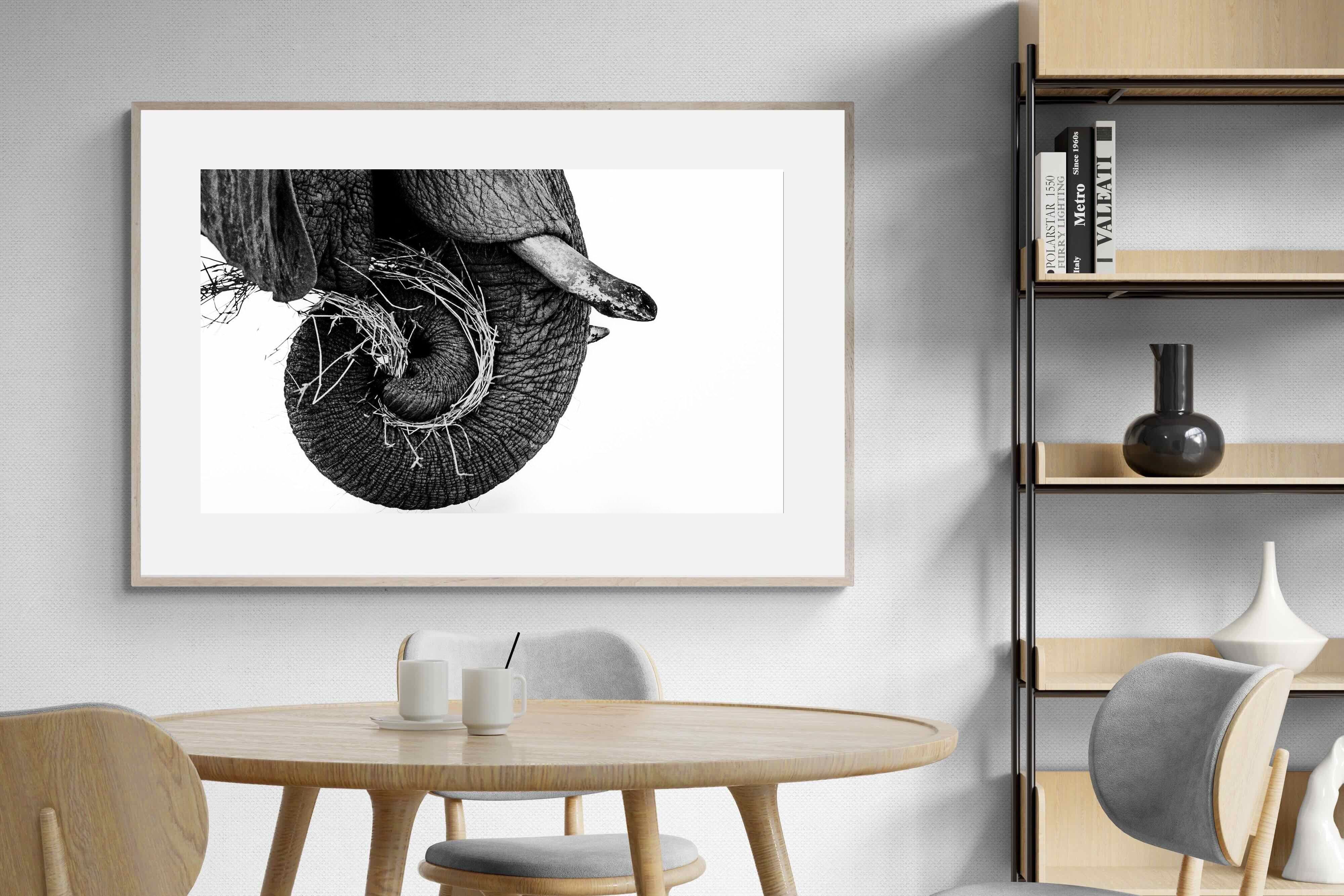 Pixalot ® Elephant Coil