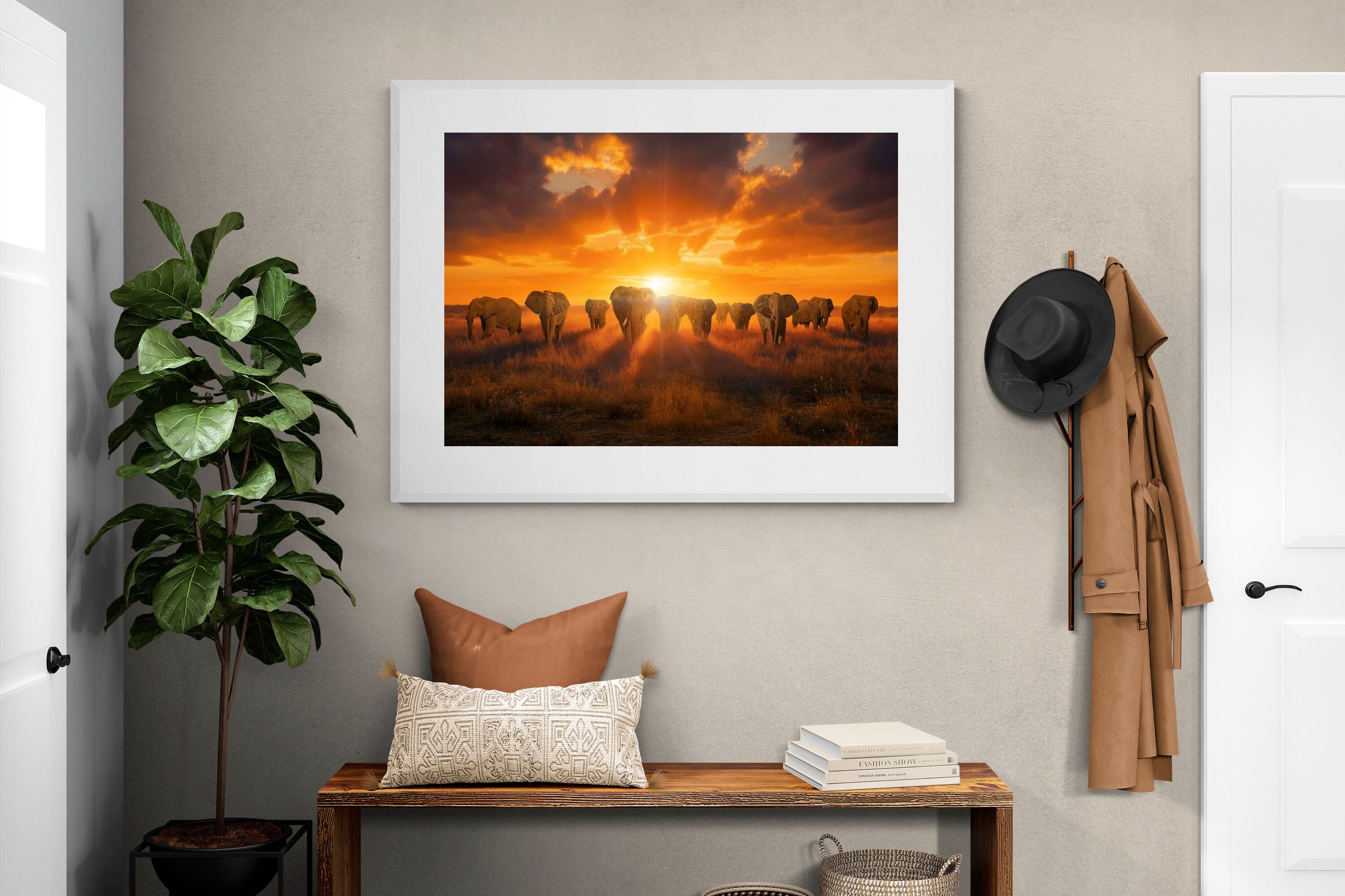 Pixalot ® Elephant Sunset