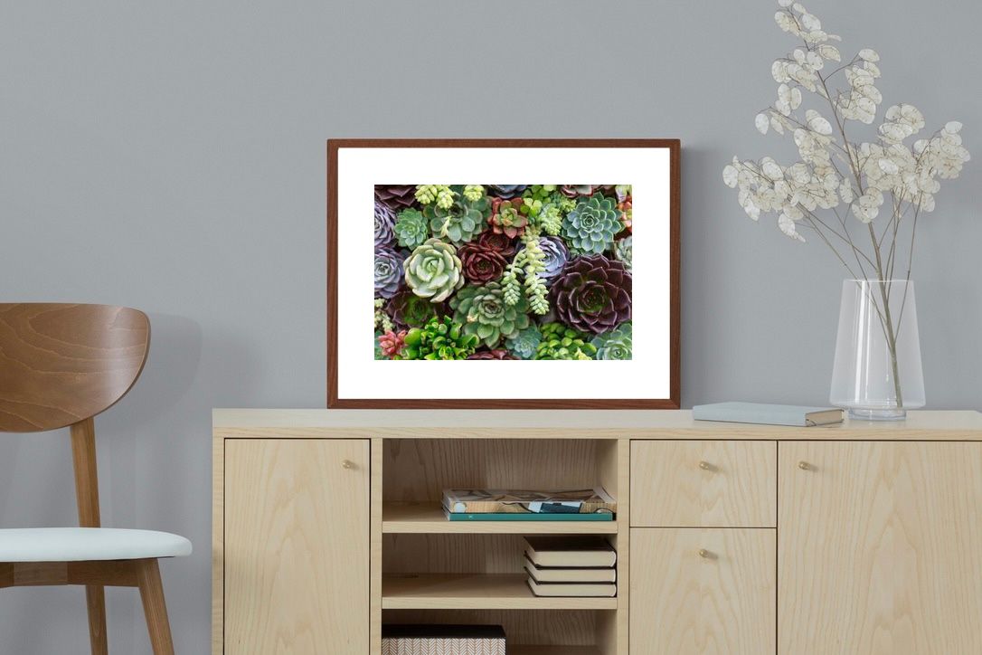 Pixalot ® Foliage