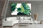 Pixalot ® Frond & Light