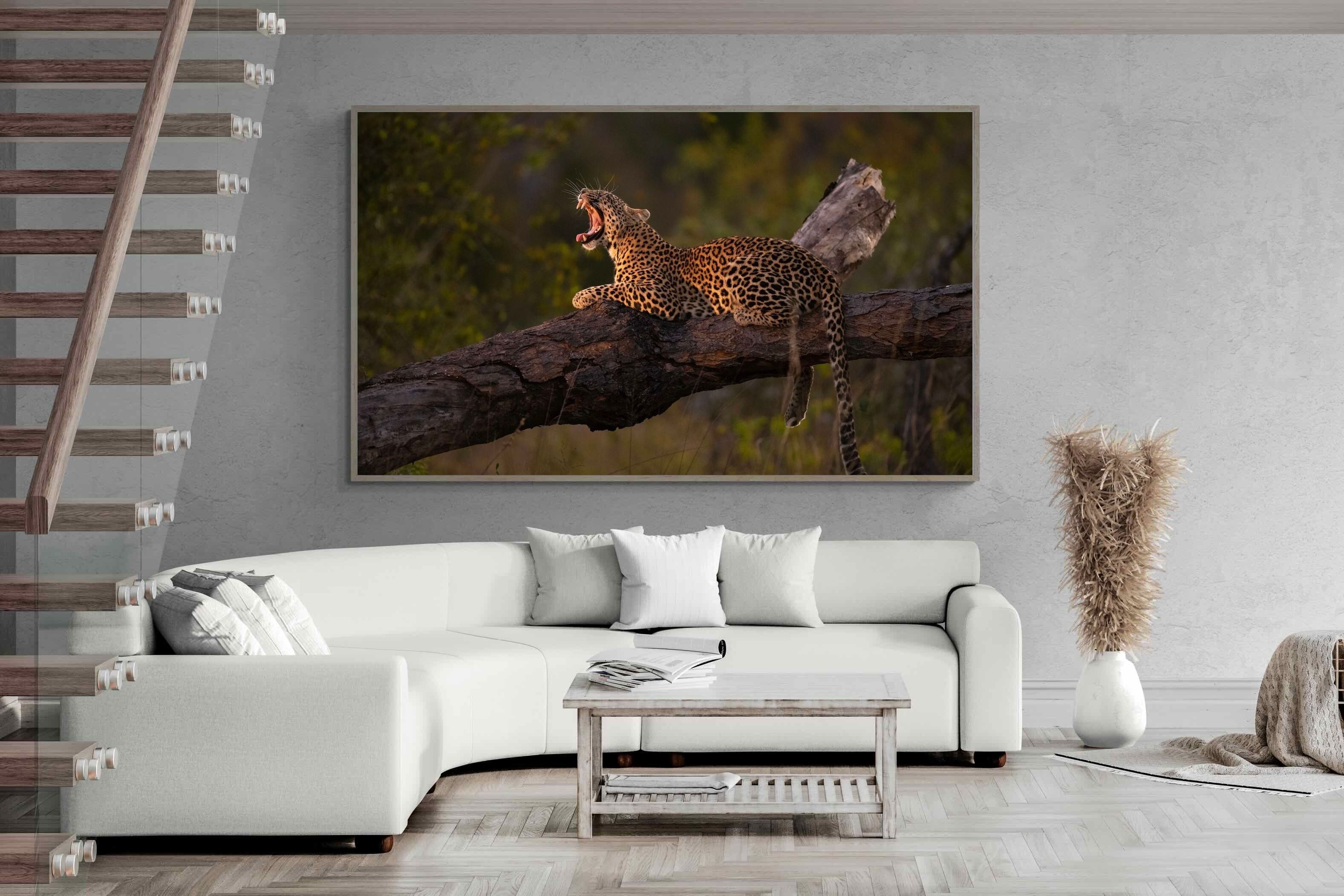 Pixalot ® Golden Yawn