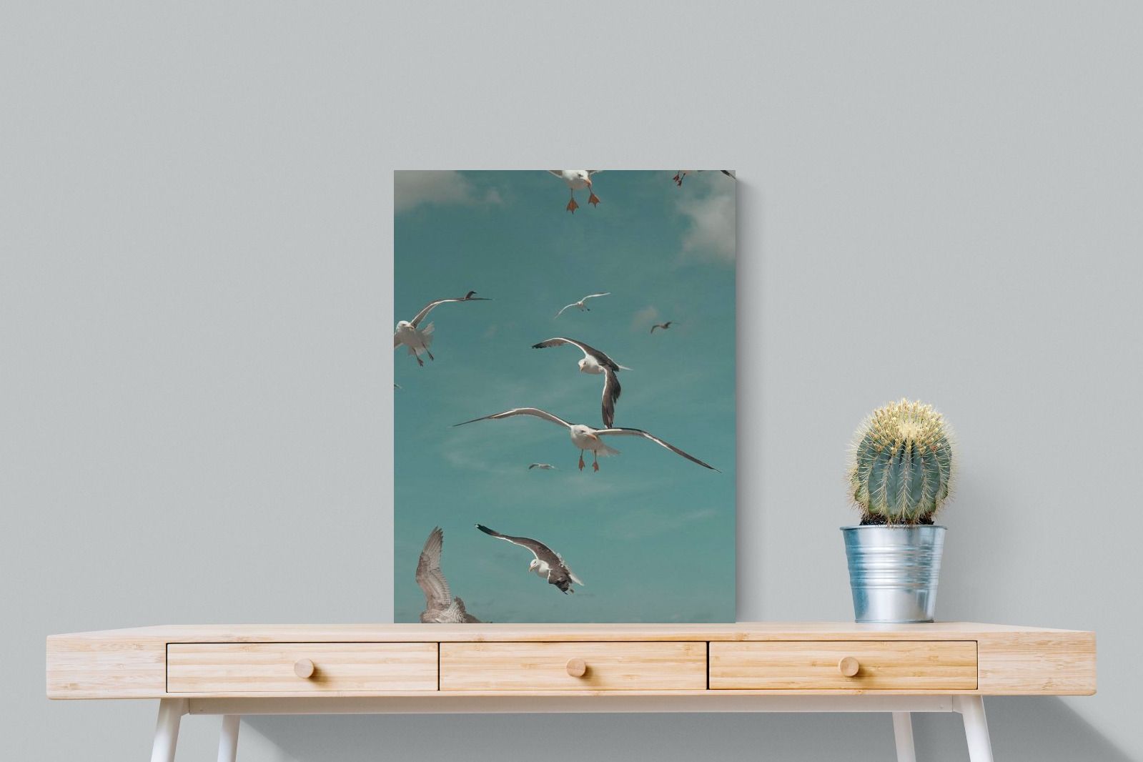 Pixalot ® Gulls in Blue