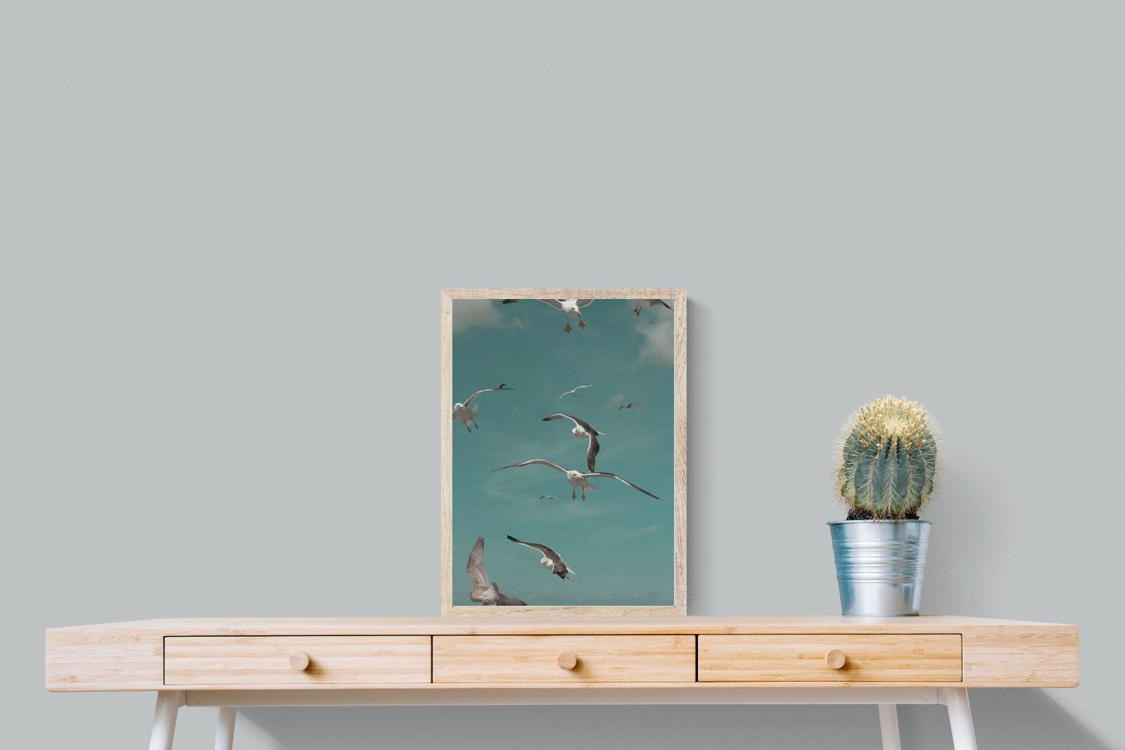 Pixalot ® Gulls in Blue