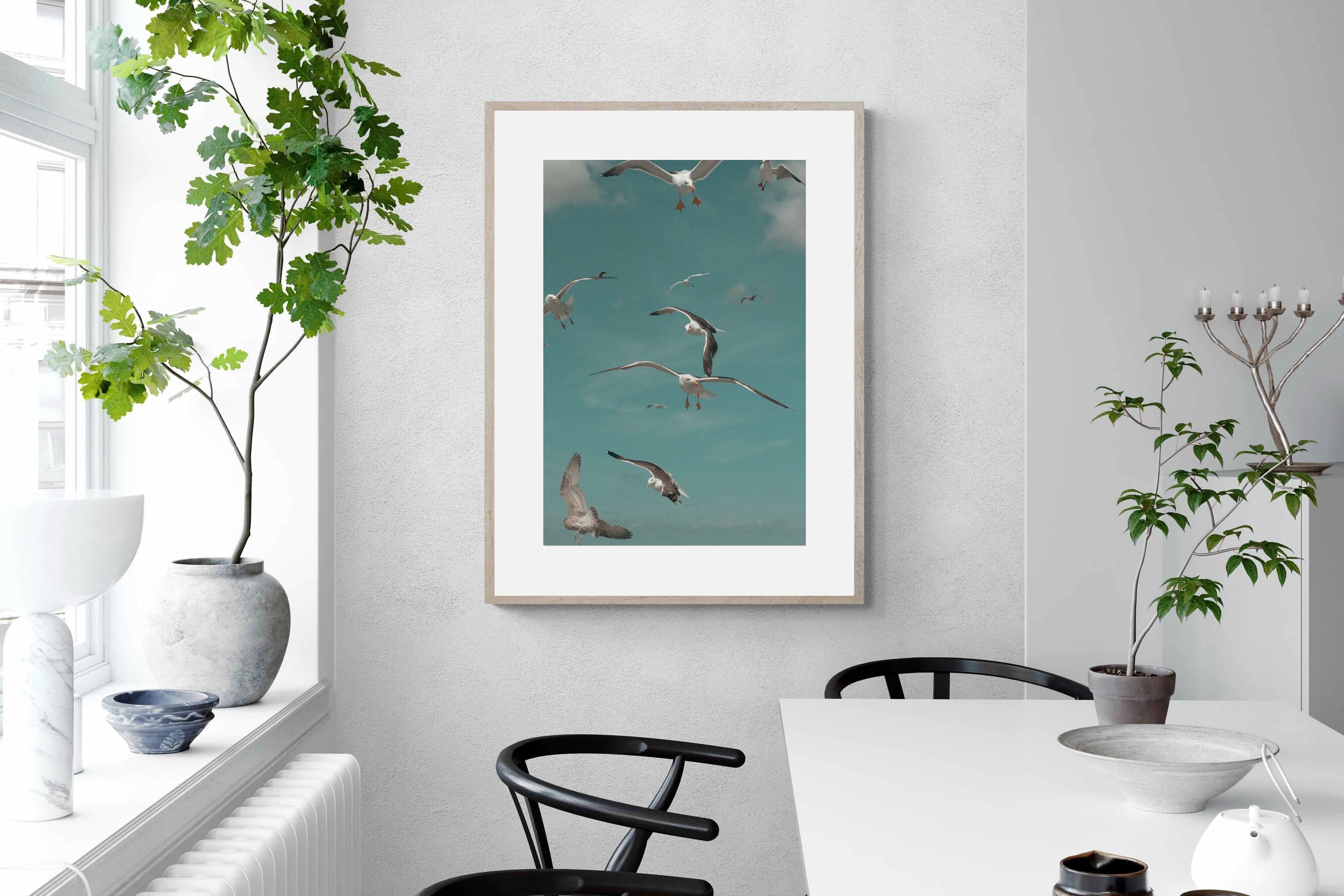 Pixalot ® Gulls in Blue