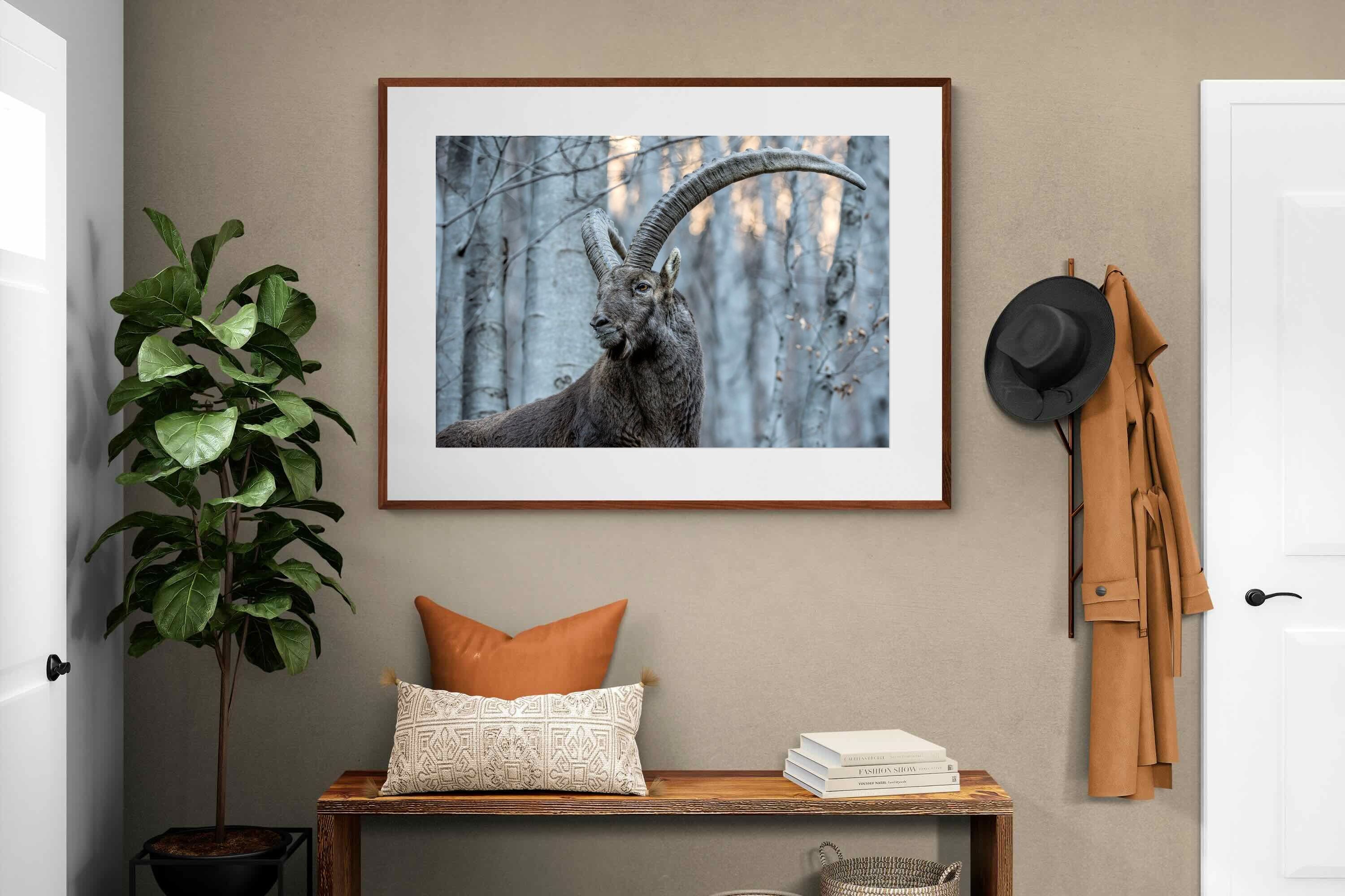 Pixalot ® Ibex