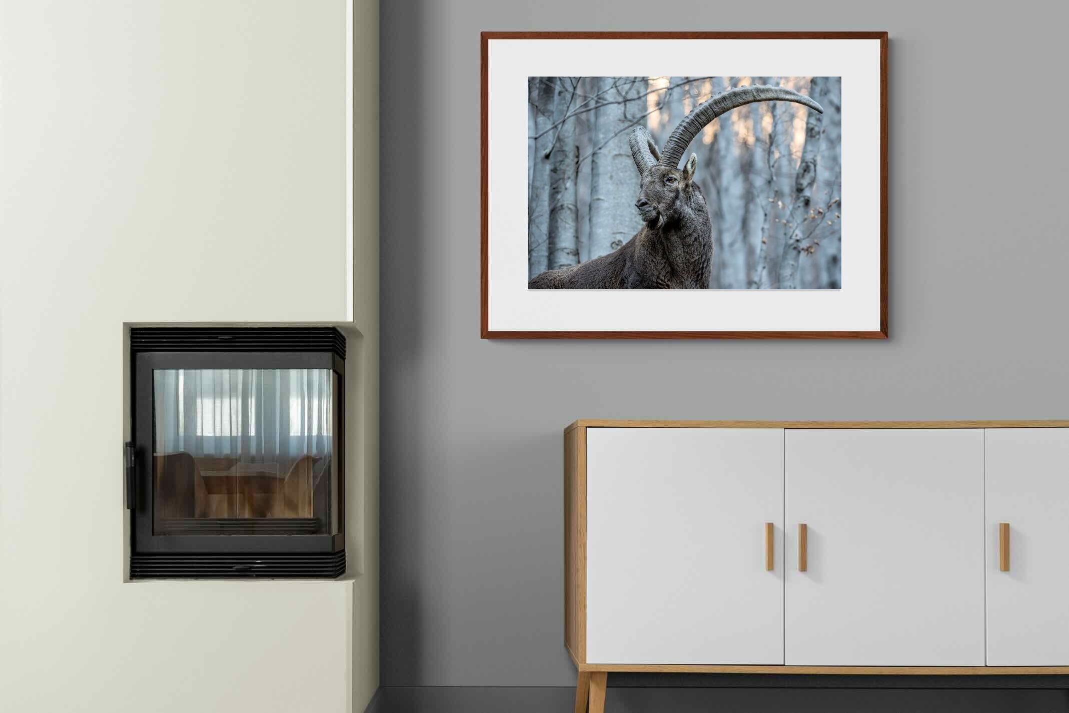 Pixalot ® Ibex