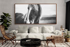 Pixalot ® Icelandic Pony