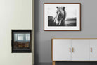 Pixalot ® Icelandic Pony
