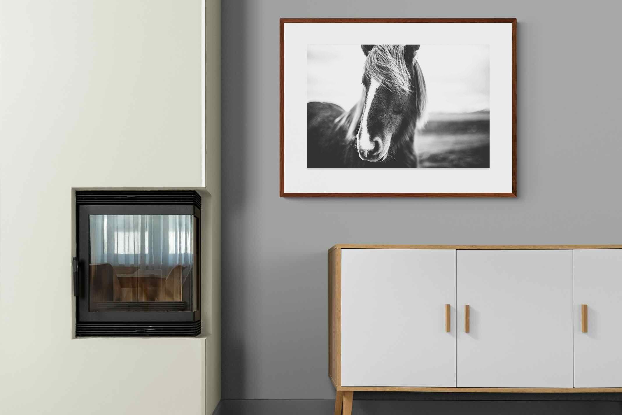 Pixalot ® Icelandic Pony