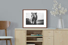 Pixalot ® Icelandic Pony