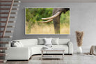 Pixalot ® Ivory Curve