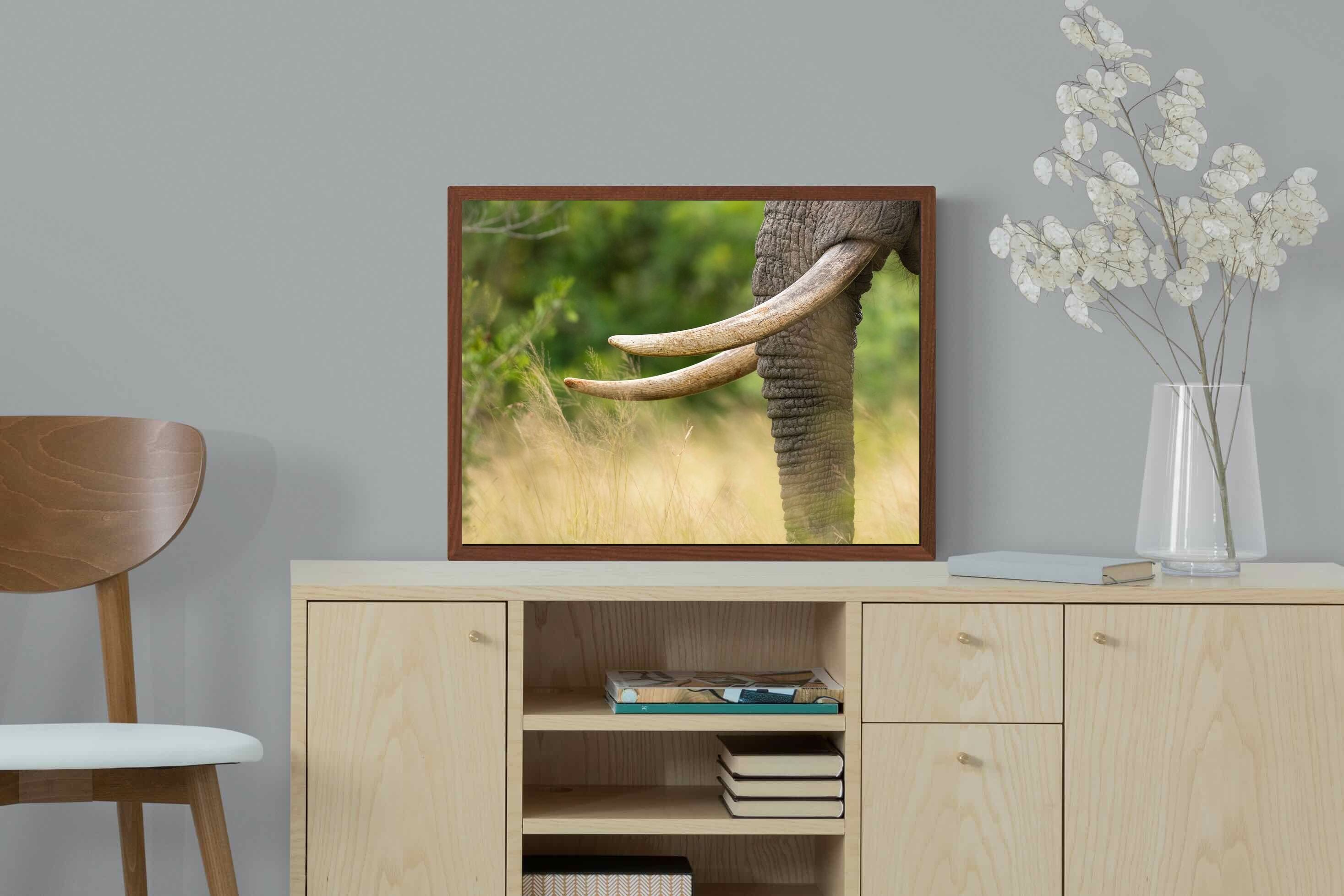 Pixalot ® Ivory Curve