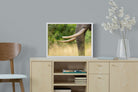 Pixalot ® Ivory Curve