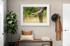 Pixalot ® Ivory Curve