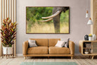 Pixalot ® Ivory Curve