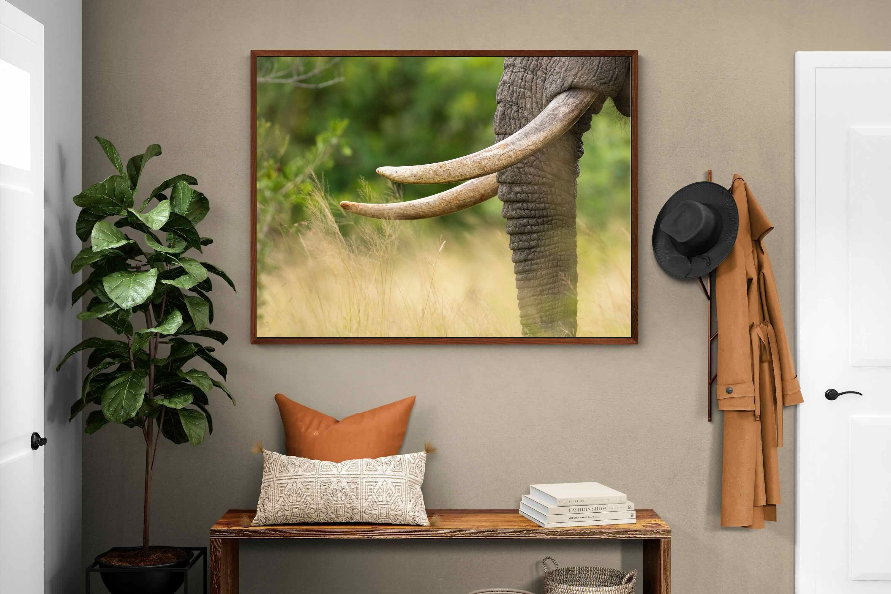 Pixalot ® Ivory Curve