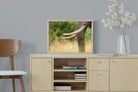 Pixalot ® Ivory Curve