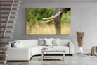 Pixalot ® Ivory Curve