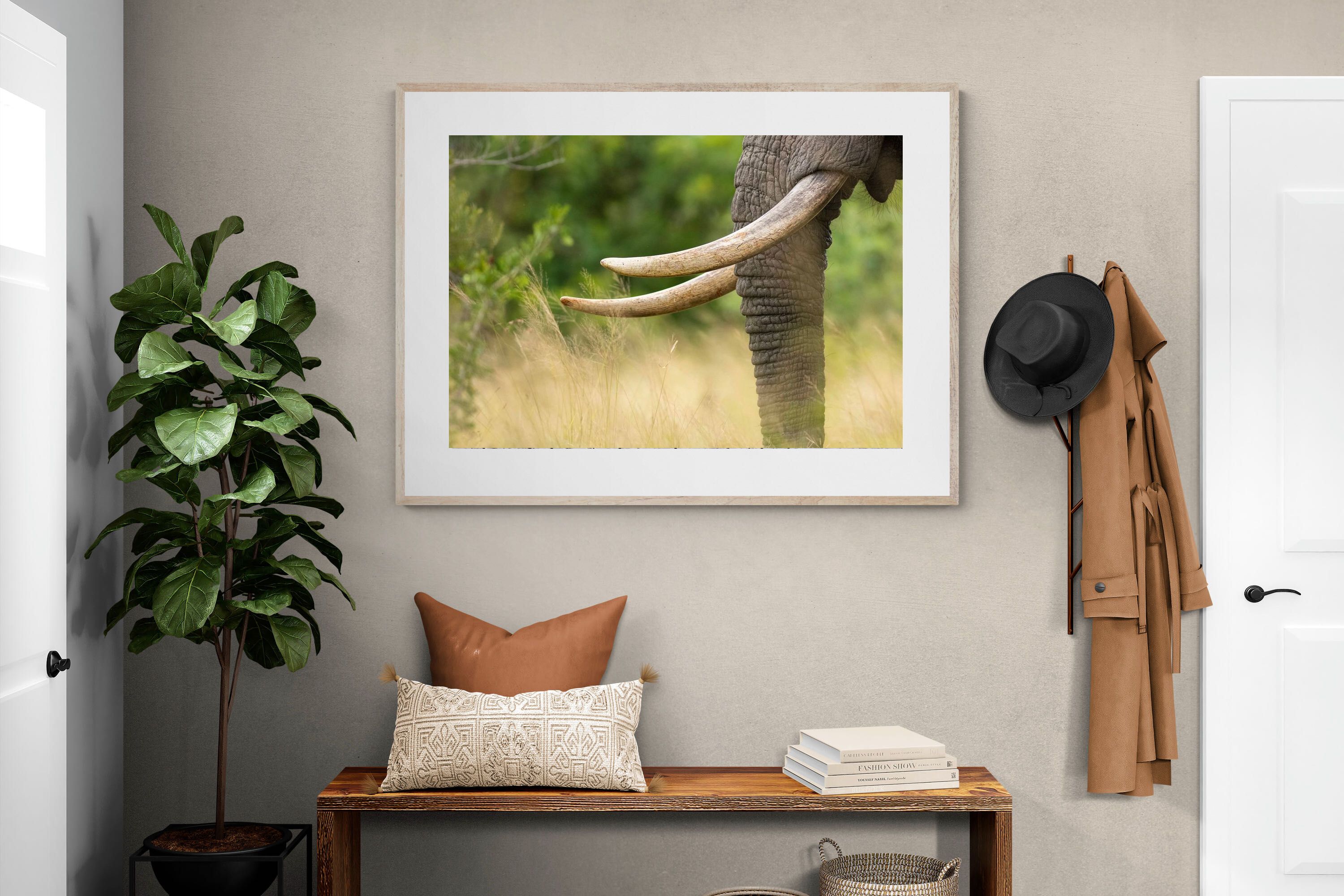 Pixalot ® Ivory Curve