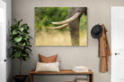 Pixalot ® Ivory Curve