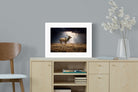 Pixalot ® Leap of Light
