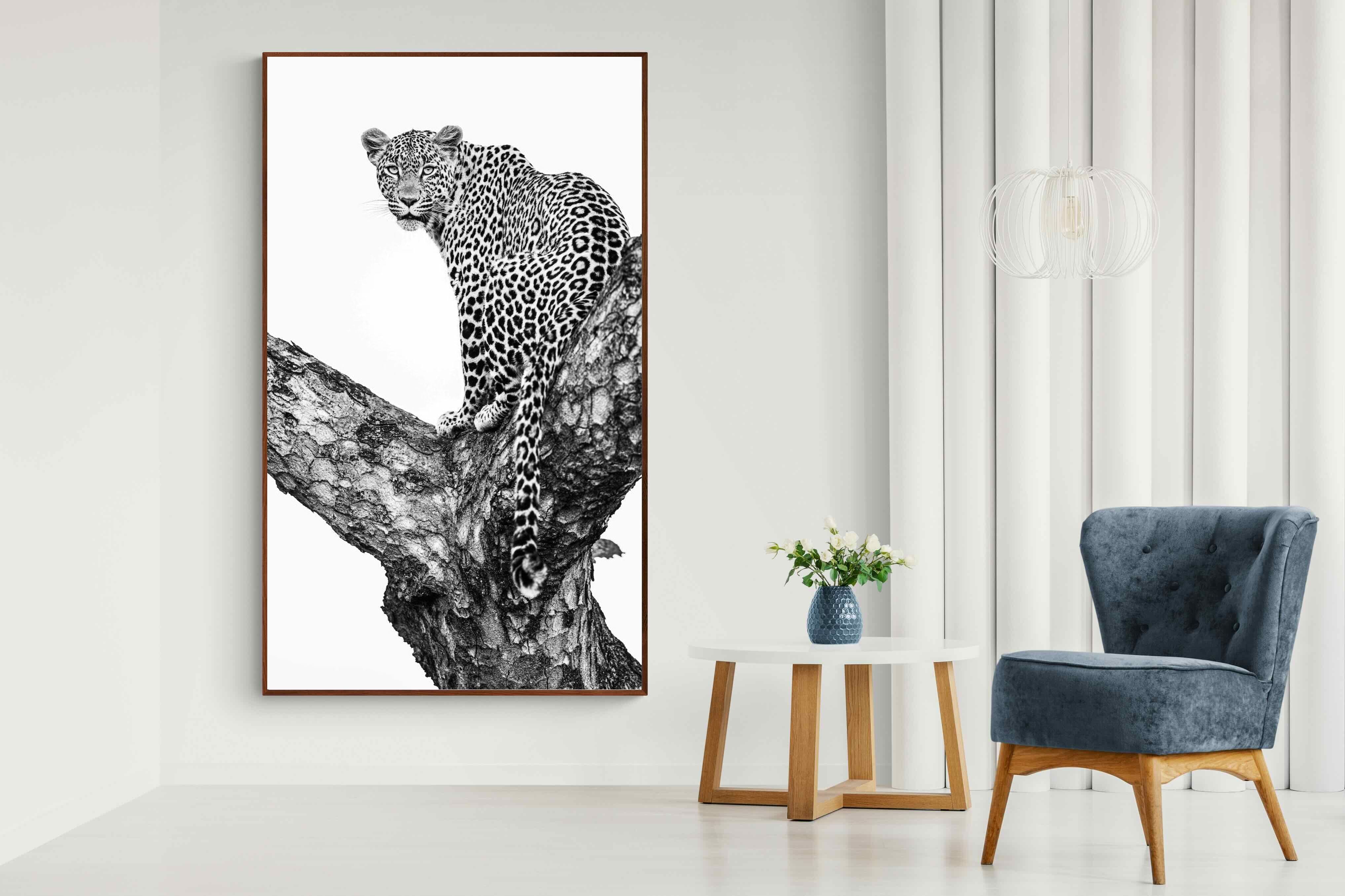 Pixalot ® Leopard in the Tree