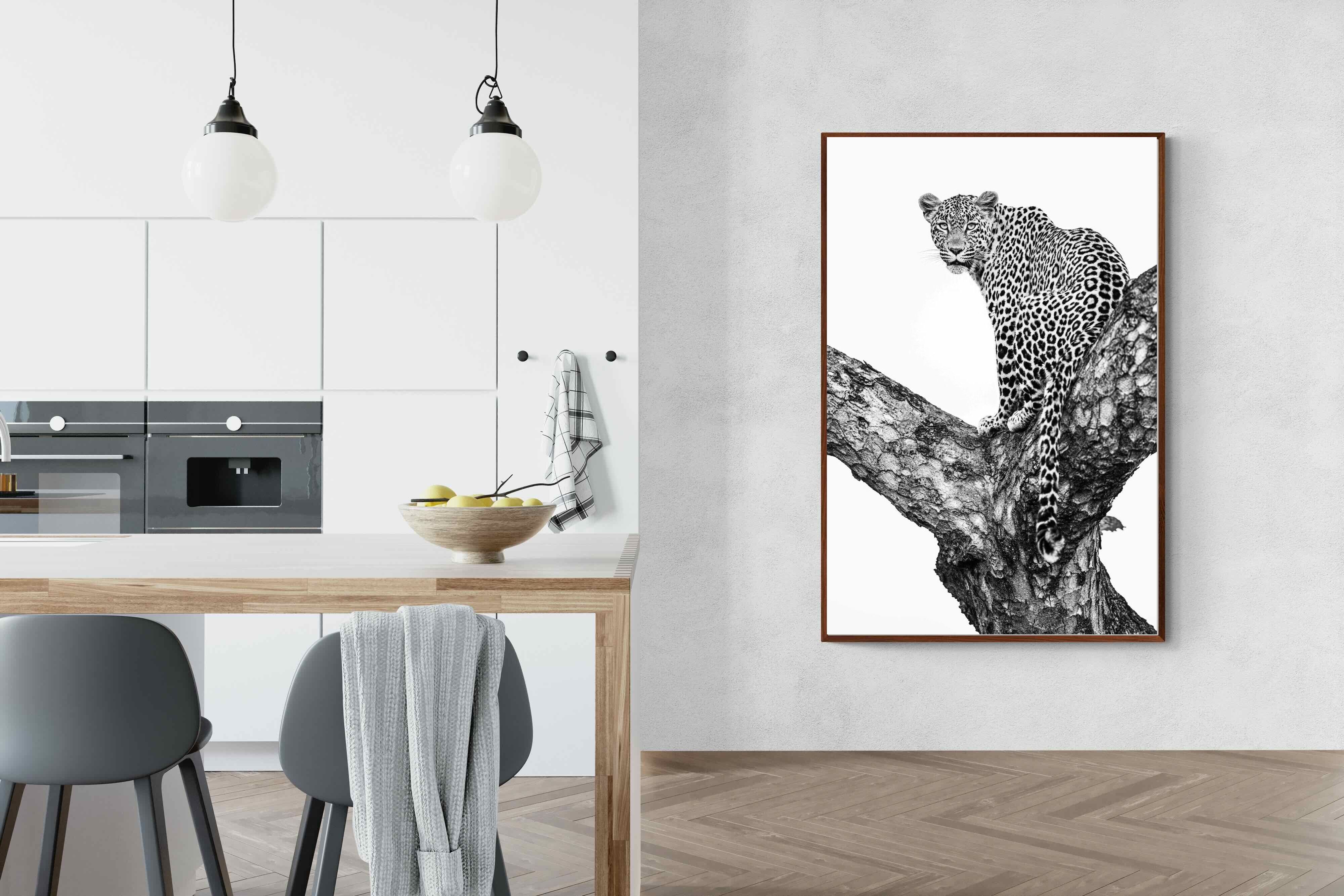 Pixalot ® Leopard in the Tree