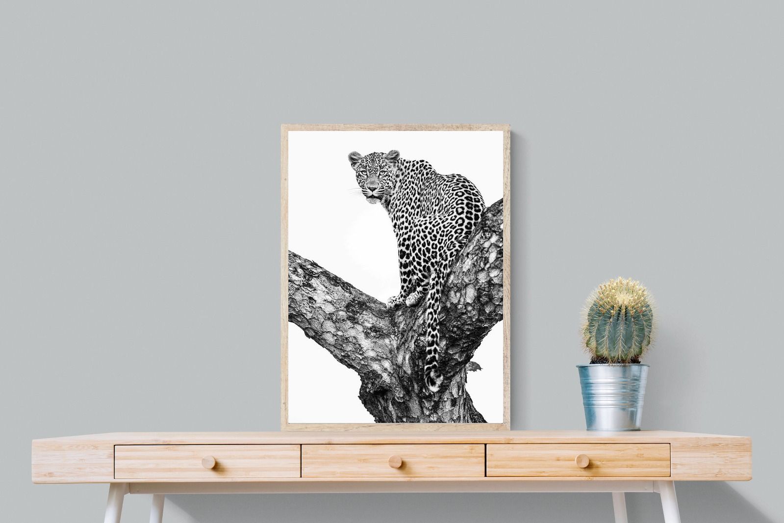 Pixalot ® Leopard in the Tree