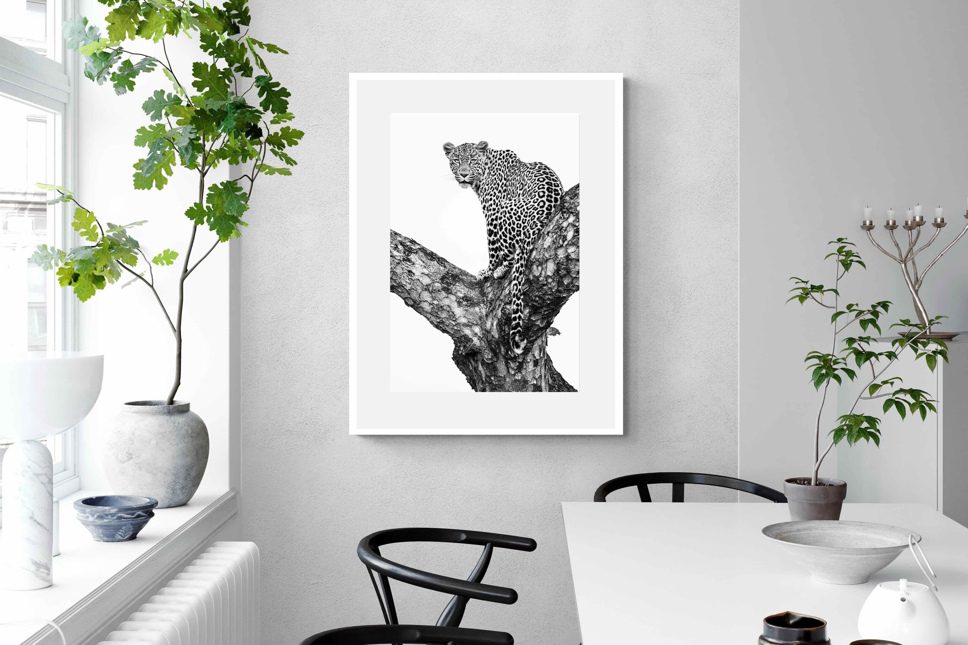 Pixalot ® Leopard in the Tree