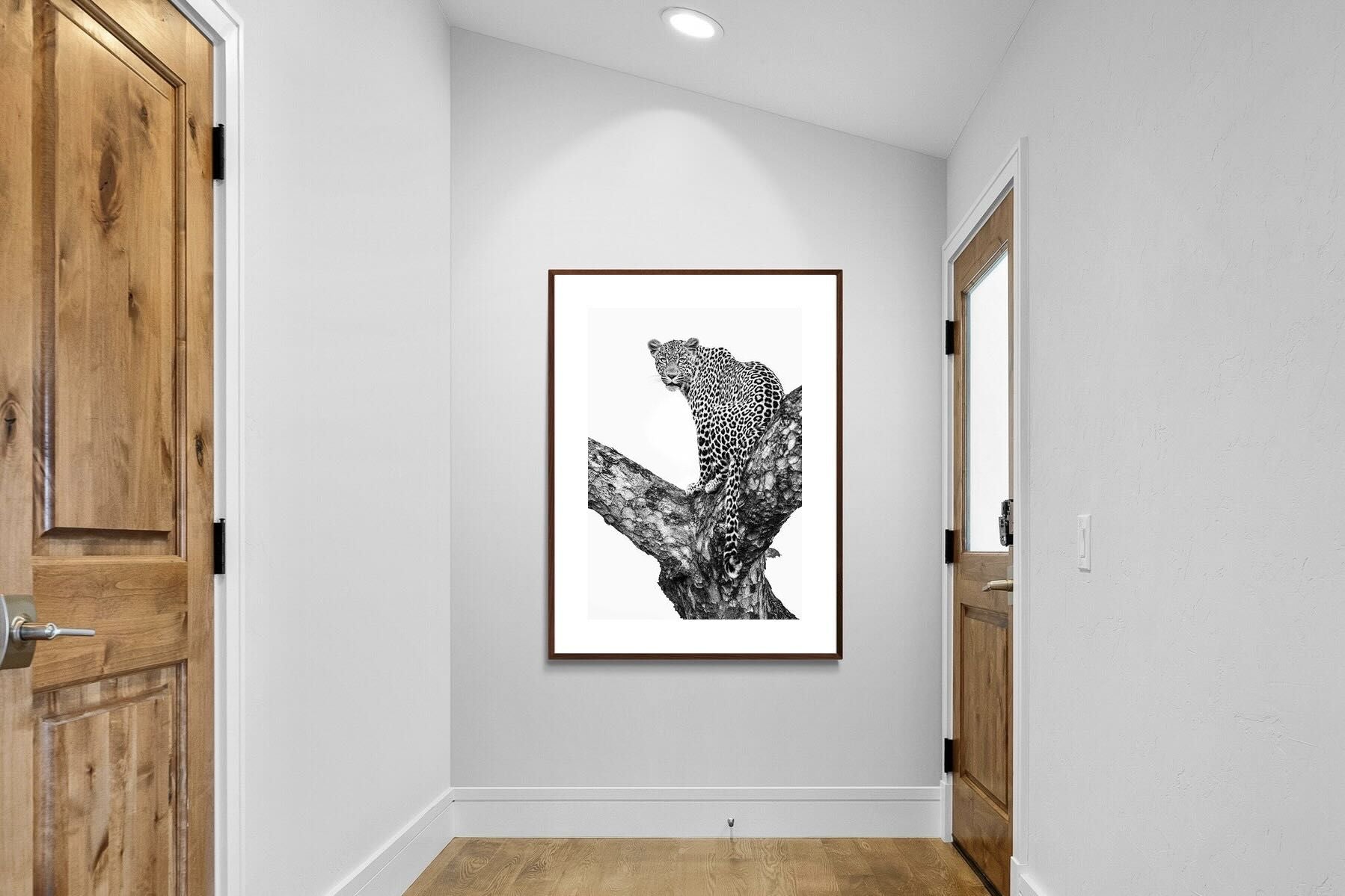 Pixalot ® Leopard in the Tree