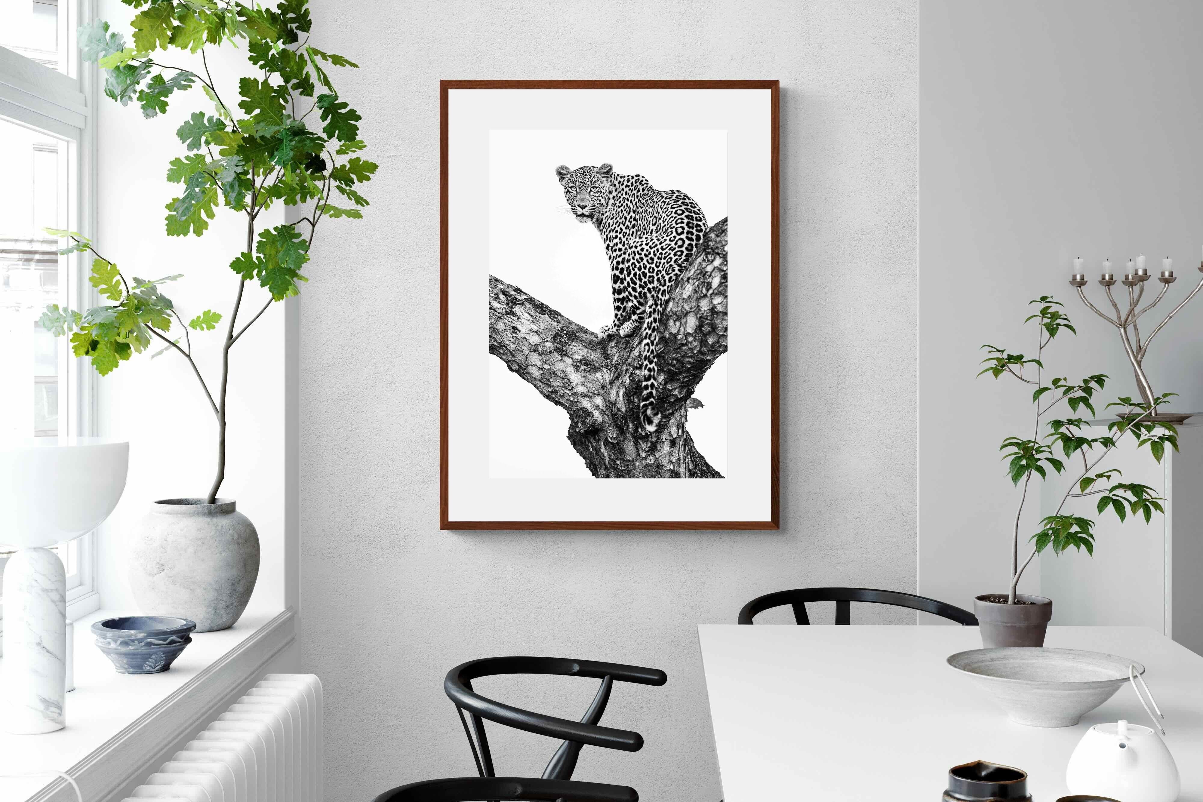 Pixalot ® Leopard in the Tree