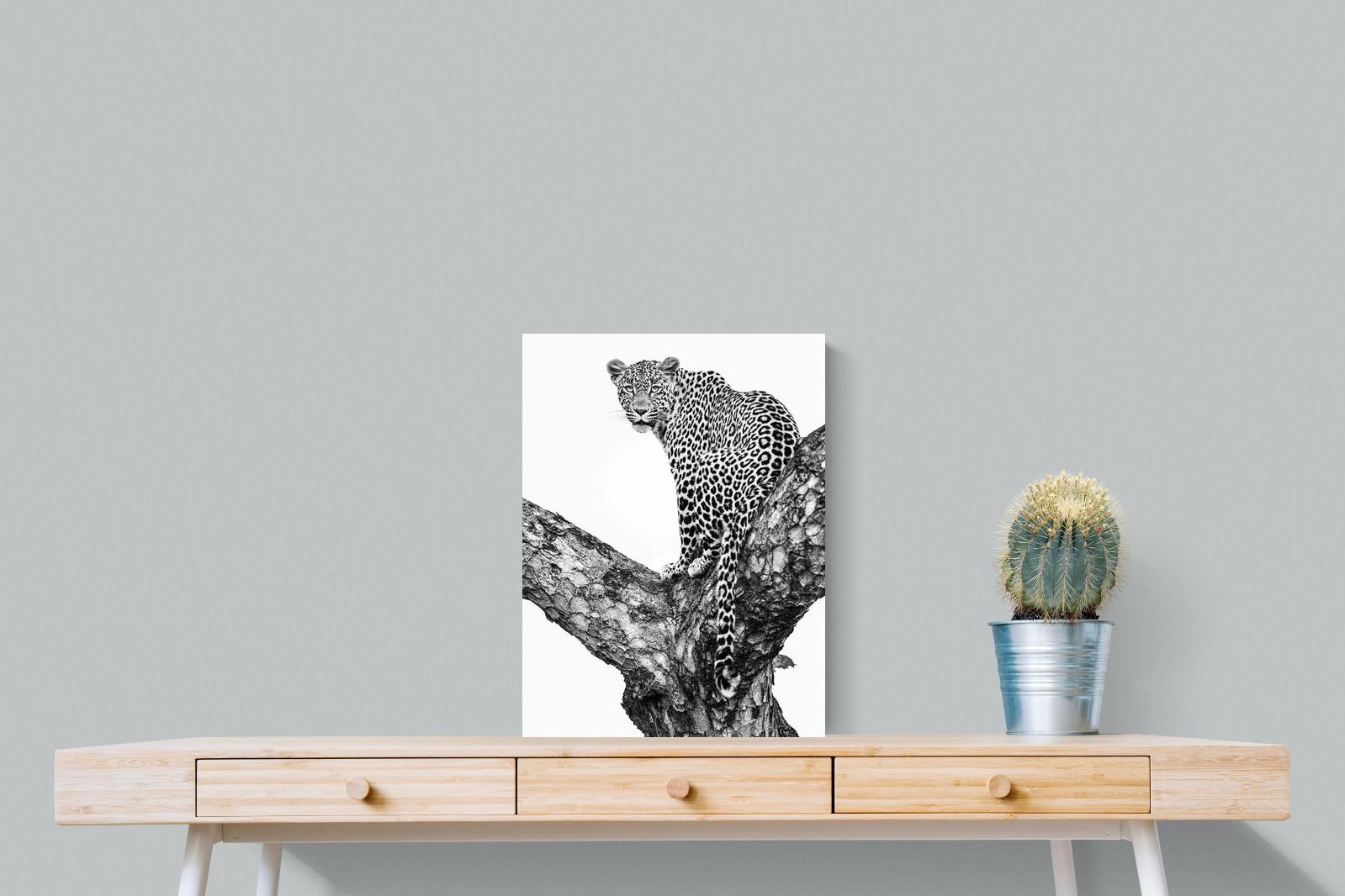 Pixalot ® Leopard in the Tree